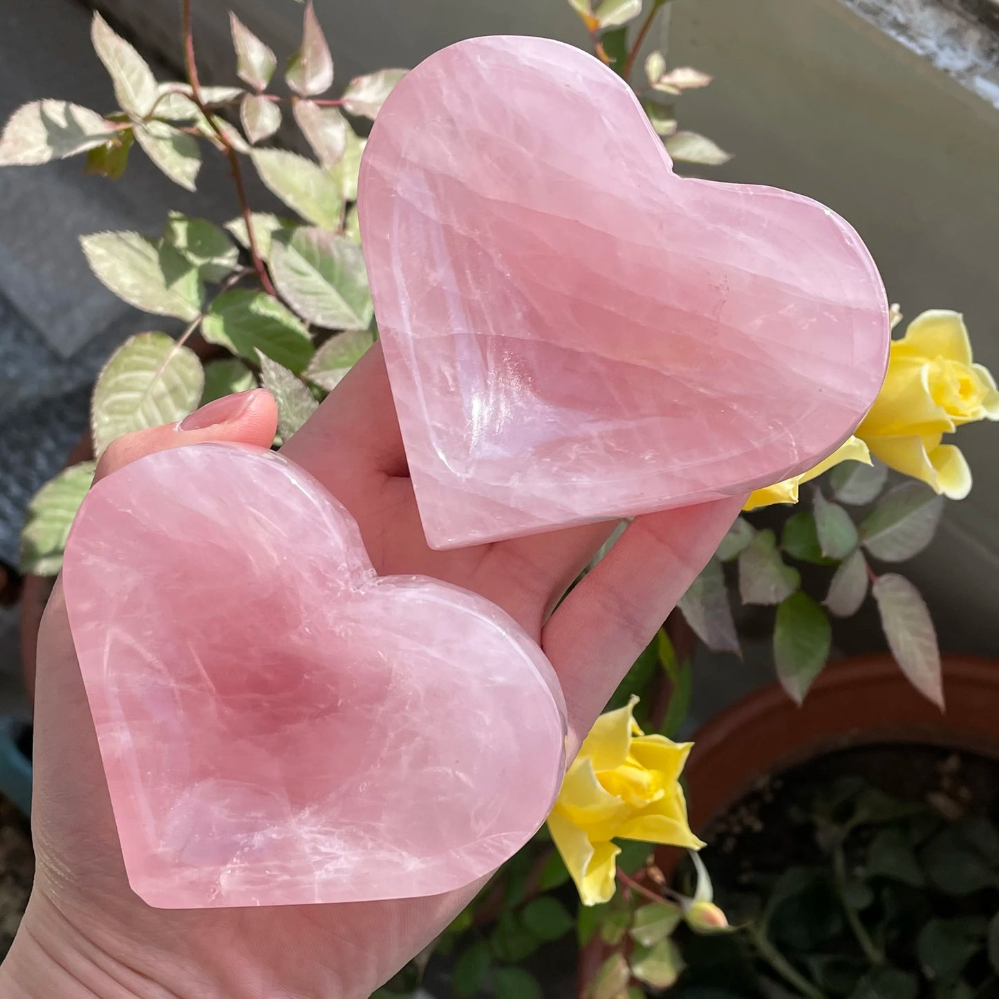 Rose Quartz Crystal Bowl