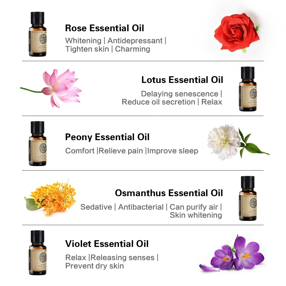 AKARZ Natural Florals Essential Oil Set- 10 Pack